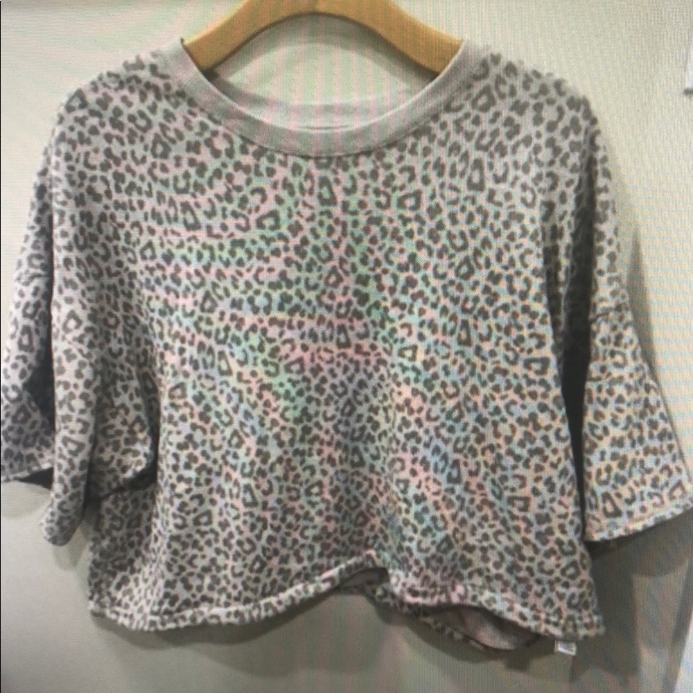 American Eagle Crop Sweatshirt